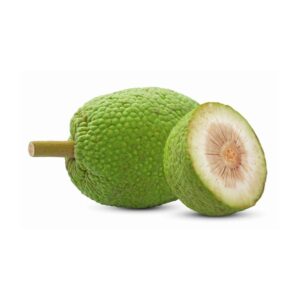 breadfruit