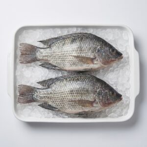 frozen tilapia